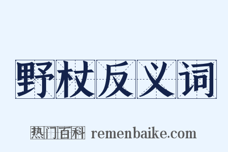 野杖反义词是什么意思的图片